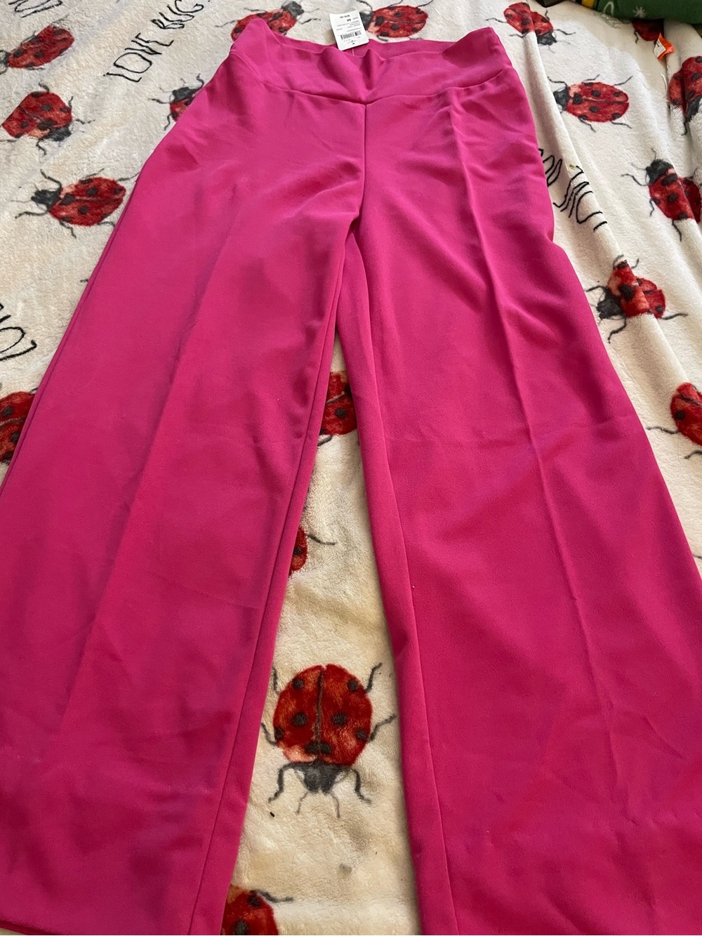 Windsor Wide-Leg High-Waist Pants in Fuchsia